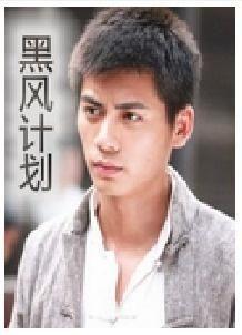 黑风计划,揭秘神秘网络战背后的秘密行动